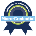 micro-credential badge icon